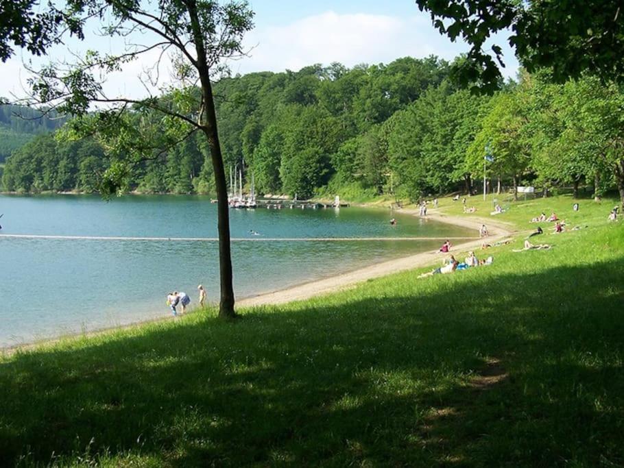 Ferienhaus Lena Im Sauerland Direkt Am Hennesee Мешеде Экстерьер фото