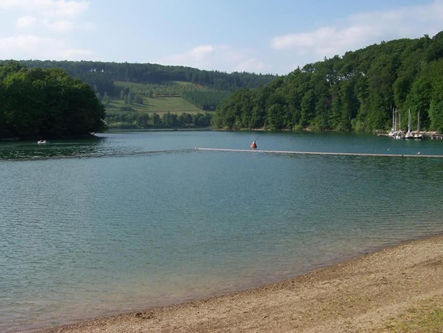 Ferienhaus Lena Im Sauerland Direkt Am Hennesee Мешеде Экстерьер фото
