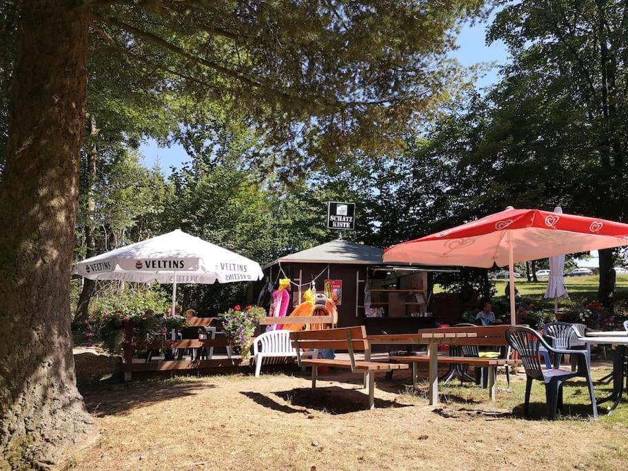 Ferienhaus Lena Im Sauerland Direkt Am Hennesee Мешеде Экстерьер фото