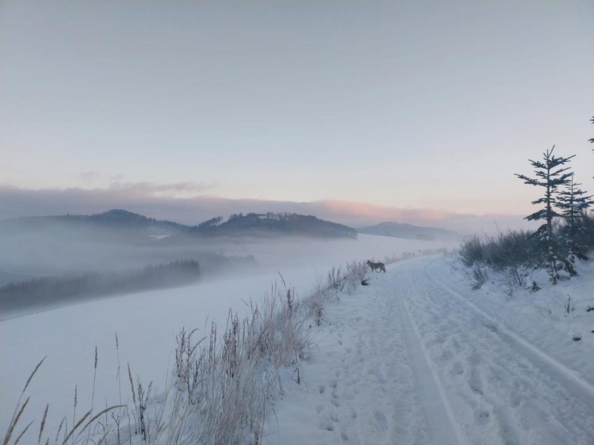 Ferienhaus Lena Im Sauerland Direkt Am Hennesee Мешеде Экстерьер фото