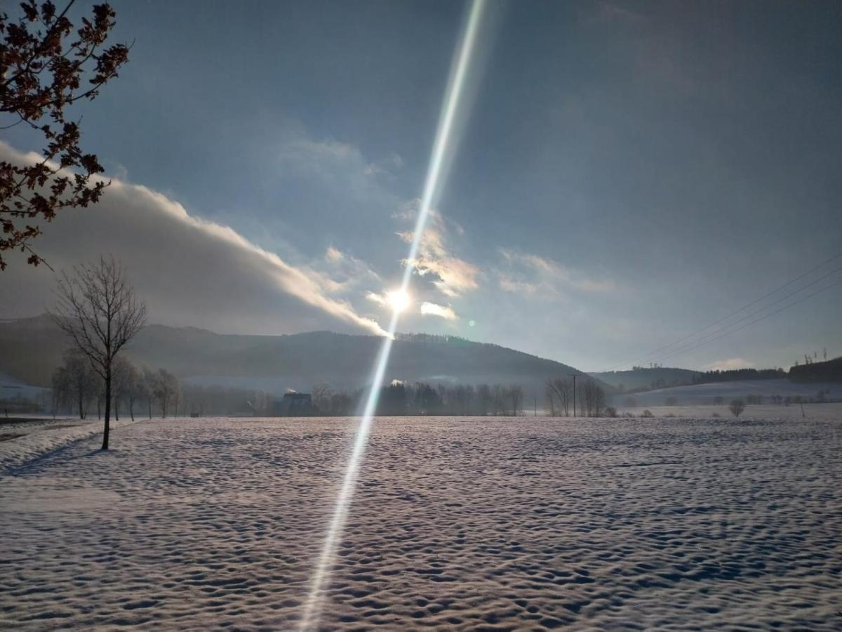 Ferienhaus Lena Im Sauerland Direkt Am Hennesee Мешеде Экстерьер фото