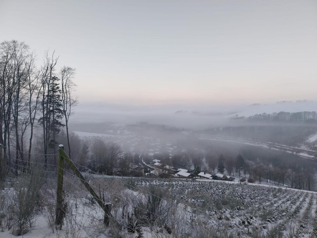 Ferienhaus Lena Im Sauerland Direkt Am Hennesee Мешеде Экстерьер фото